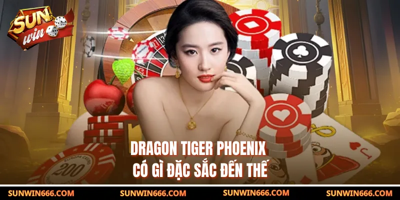 Dragon Tiger Phoenix có gì đặc sắc đến thế